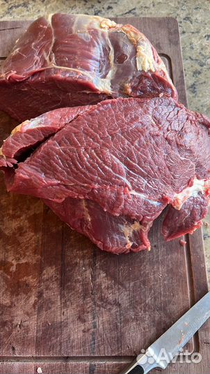Мясо телятина