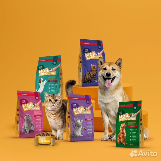 Корм для собак и кошек