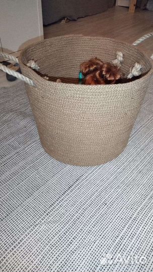 Корзина для хранения