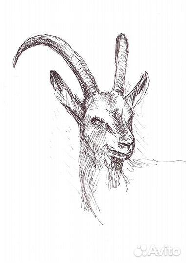 Работы на заказ по рисунку/живописи учебные