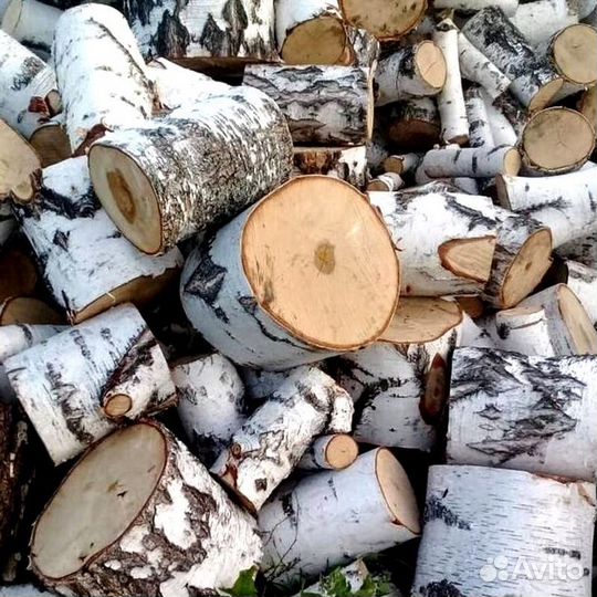 Дрова свежие