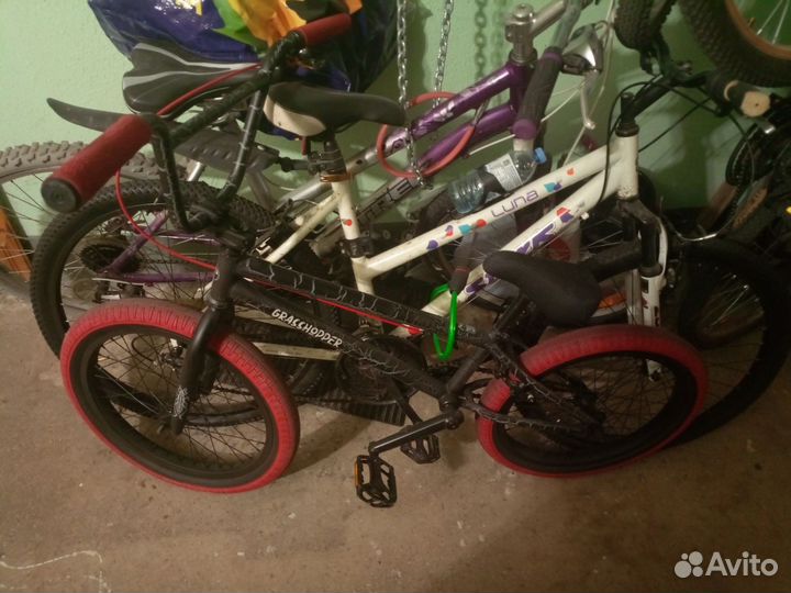 Bmx grasshopper 20