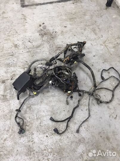 Проводка двигателя hyundai getz 1.4 МКПП