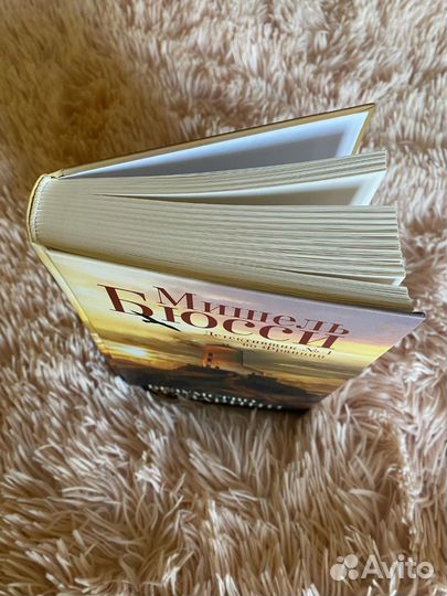 Мишель Бюсси 