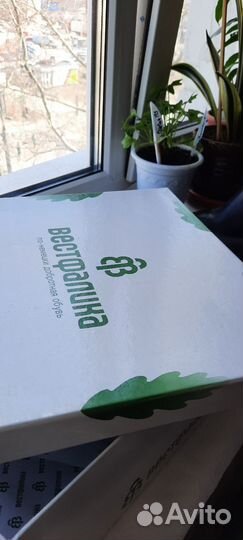 Продам новые женские демиссезонные сапожки