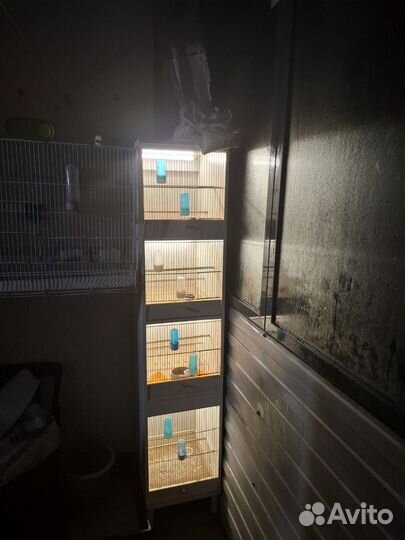 Клетка бокс для птиц