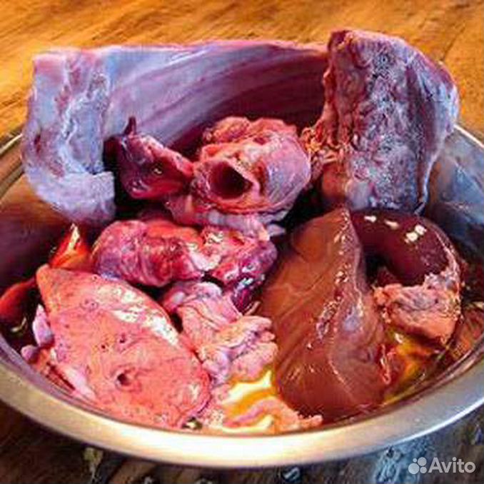 Селезенка собаки анатомия строения. Топография печени у животных. Селезенка собаки топография. Кожная форма сибирской язвы у животных. Анатомия селезенки собаки.