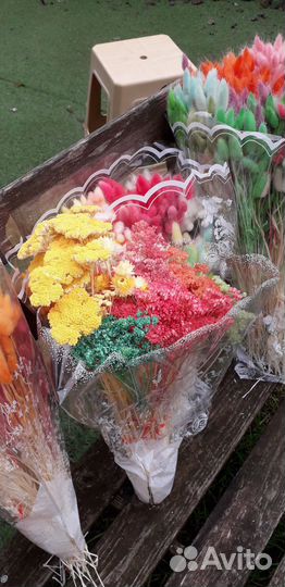 Лагурус сухоцветы