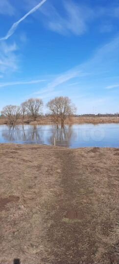 Участок 20 сот. (ИЖС)