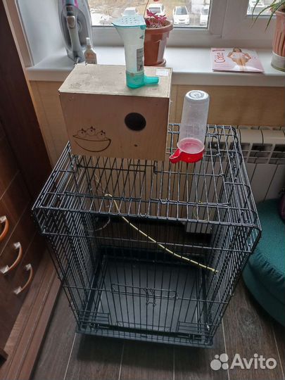 Клетку для попугаев и все аксессуары