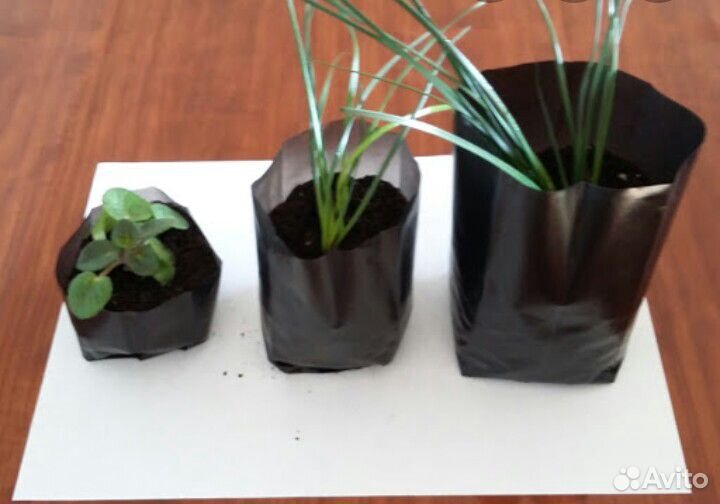 Пакеты для рассады