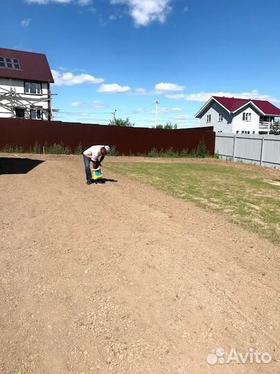 Посевной газон