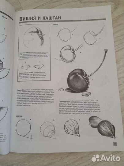 Полный курс рисования