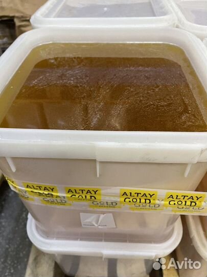 Акациевый мед опт