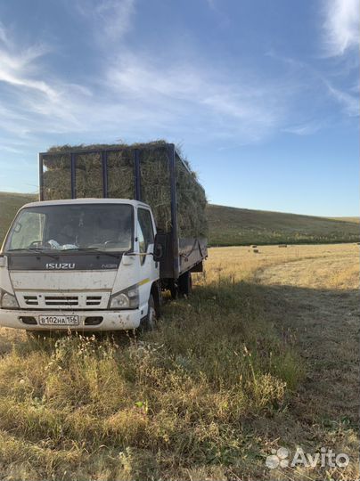 Сено в тюках. Зеленое. Покос 2024