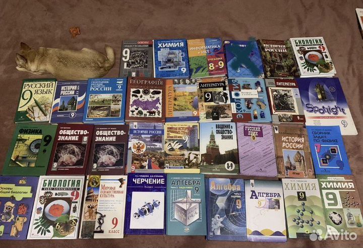 Учебники и методички 9 класс