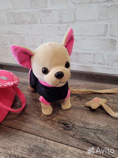 Собачка Чичилав; Chi Chi Love