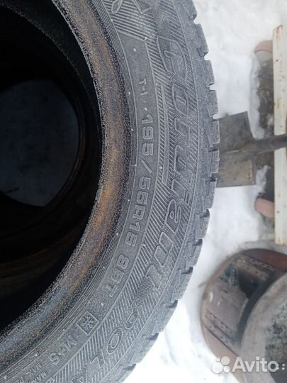 Cordiant Polar 195/55 R15