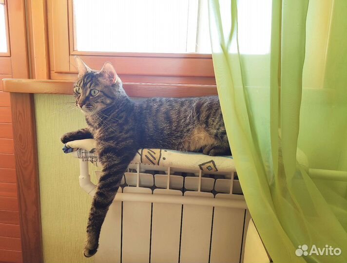 Лежанка-гамак для кошки на батарею