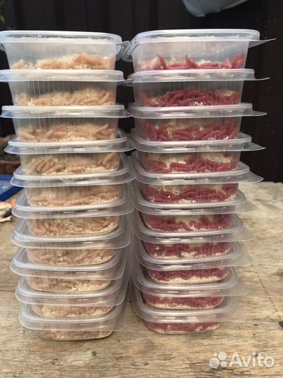 Черви и опарыш