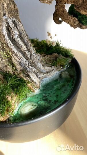 Дерево Бонсай