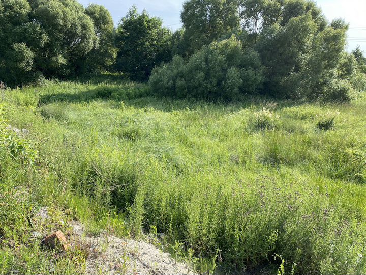 Участок 10 сот. (ИЖС)