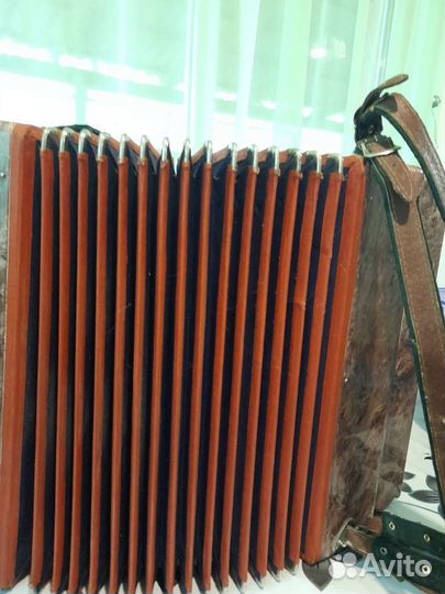 Баян,Ростов-Дон