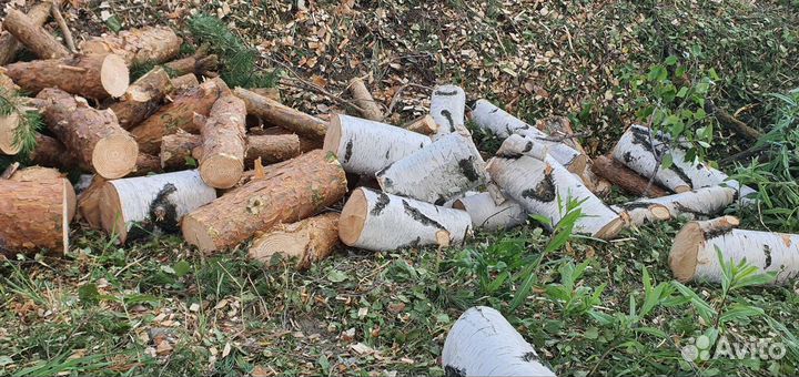 Дрова берёза и сосна цена за все