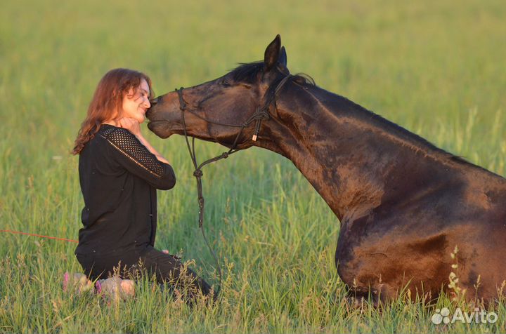 Иппотерапия