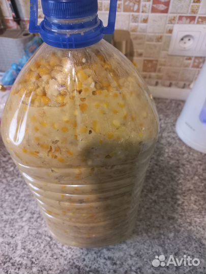 Кукуруза, горох ферментированные (пьяная)