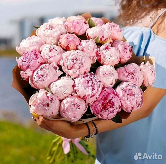 Пионы Розы Доставка