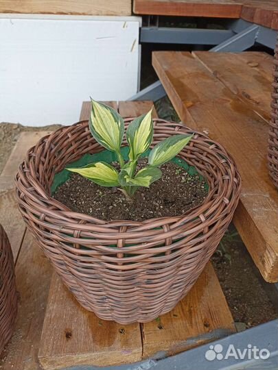 Кашпо из искусственного ротанга