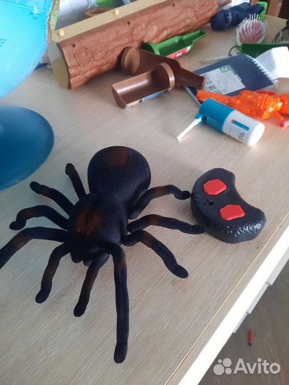Паук на радиоуправлении