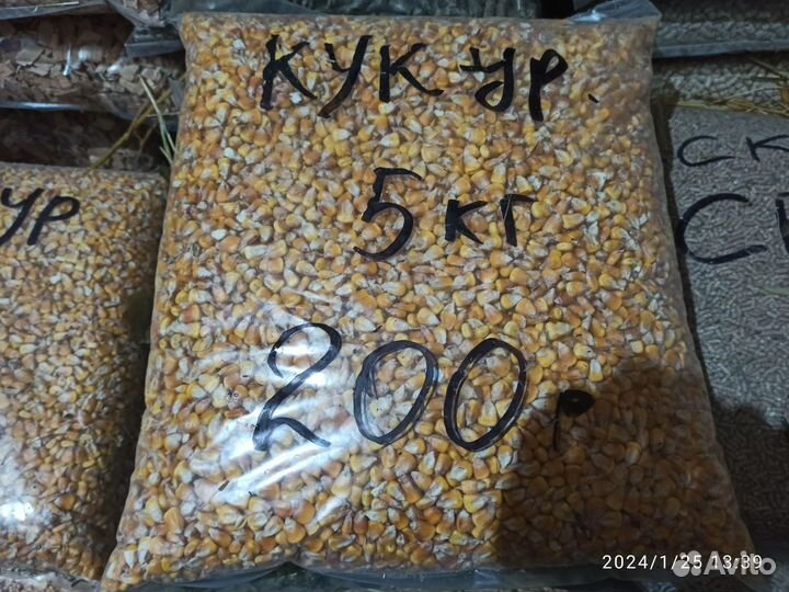 Зерно - кукуруза дроблëная 5 кг, в Анино