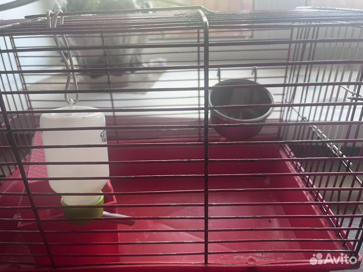 Клетка для грызунов