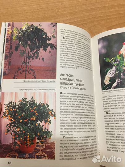 Книга мини- энциклопедия Комнатные растения