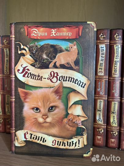 Коты воители