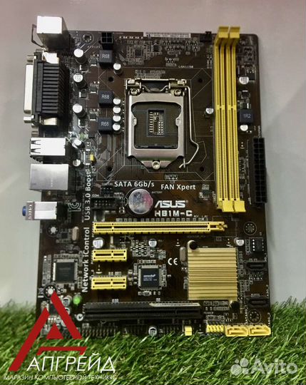 Материнская плата asus H81M-C