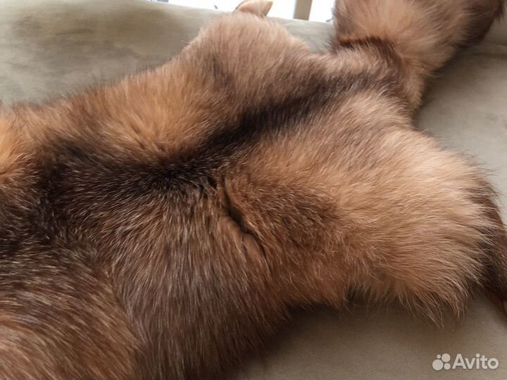 Шкура лисы(чулок) рыжая большая отлично выделанная