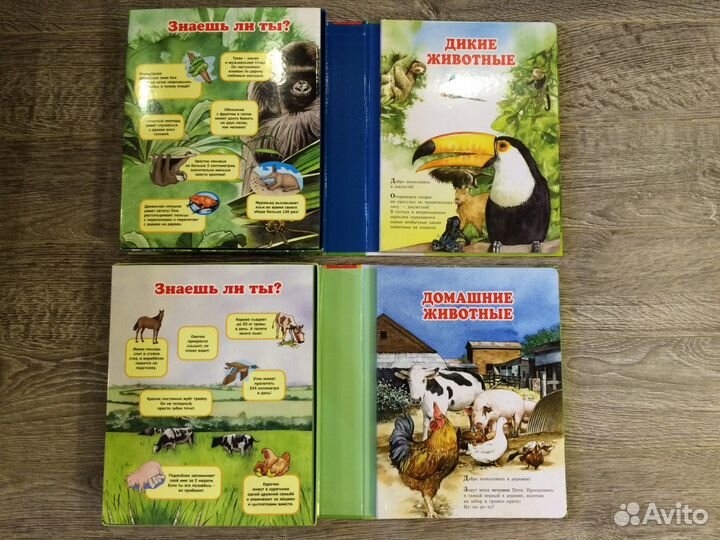 Детские книжки-развивашки новые