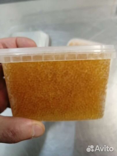 Икра щуки 2023г