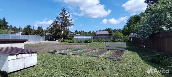 Покос травы триммером