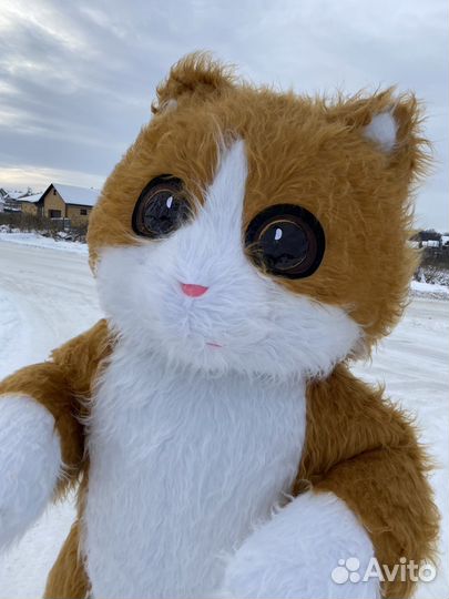 Поздравления от Белого медведя и не только