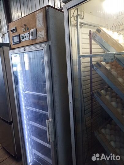 Инкубатор для яиц автоматический бу