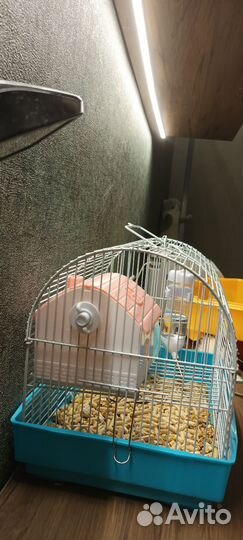 Клетка для хомяка