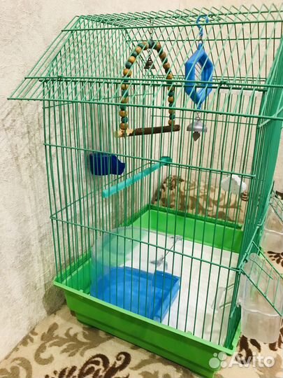 Клетка для попугая