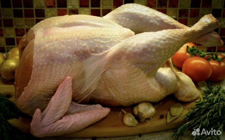 Мясо домашней индейки