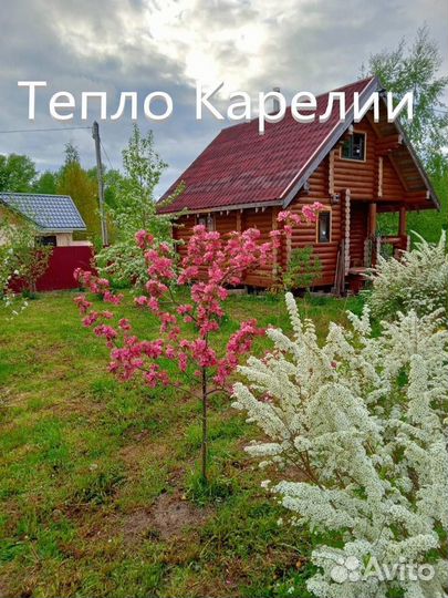 Сруб дома бани Луга