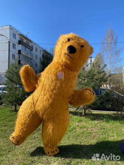 Ростовая кукла мишка 2,6,надувной костюм