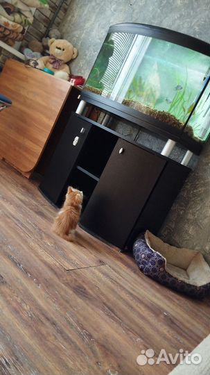 Аквариум с тумбой